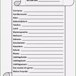 Ich Buch Vorlage Kita Süß 17 Buchvorstellung Klasse 3