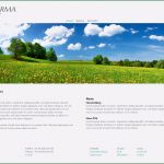 Impressum Vorlagen Homepage Gut 8 Website Impressum Vorlage