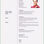 Interaktive Bewerbung Vorlagen Süß 7 Ablaufplan Projektmanagement Vorlage