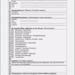 Internet Kündigen Umzug Vorlage Hübsch Netcologne Kuendigung Umzug