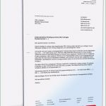 Internet Kündigen Umzug Vorlage Neu Fristlose Kündigung Dsl Vertrag