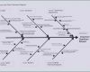 Ishikawa Diagramm Vorlage Excel Wunderbar ishikawa Diagramm Vorlage Neu Projektmanagement Mit Excel