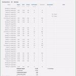 It Dokumentation Vorlage Word Großartig Server Dokumentation Vorlage Word Beispiel Datev Vorlage