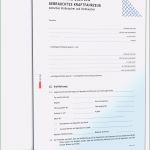 Kaufvertrag Gartenhaus Vorlage Best Of 8 Kaufvertrag Gartenhaus Hawaii for Obama Shade and Eggs