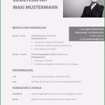 Kostenlose Vorlage Untermietvertrag Schön Professioneller Lebenslauf Vorlage Ktforsenate Frisch