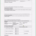 Lageplan Vorlage Hübsch Anhang 1 Muster Für Ein Explosionsschutzdokument