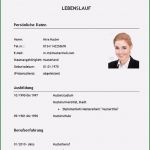 Lebenslauf Deckblatt Vorlage Wunderbar Lebenslauf Muster Student Deckblatt Bewerbung – Vorlagen 365
