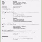 Lebenslauf Vorlage 2018 Ohne Anmeldung Angenehm 15 Undergraduate Lebenslauf Vorlagen Kostenlos Ohne