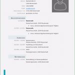 Lebenslauf Vorlage 2018 Ohne Anmeldung Einzigartig Lebenslauf Vorlage Pdf Ohne Anmeldung Gut Muster Für Lkw