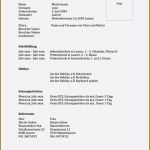 Lebenslauf Vorlage 2018 Ohne Anmeldung Erstaunlich Trend Lebenslauf Vorlage Download Ohne Anmeldung 15