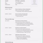 Lebenslauf Vorlage 2018 Ohne Anmeldung Süß Trend Lebenslauf Vorlage Download Ohne Anmeldung 15