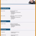 Lebenslauf Vorlage Berufserfahrung Angenehm 9 Lebenslauf Berufserfahrung Designer Lebenslauf