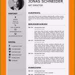 Lebenslauf Vorlage Berufserfahrung Bewundernswert 12 Lebenslauf Mit Berufserfahrung