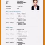 Lebenslauf Vorlage Berufserfahrung Einzigartig 16 Tabellarischer Lebenslauf Berufserfahrung 2015