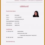 Lebenslauf Vorlage Berufserfahrung Einzigartig Tabellarischer Lebenslauf Berufserfahrung Beispiele