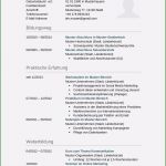 Lebenslauf Vorlage Berufserfahrung Erstaunlich 17 Lebenslauf Mit Berufserfahrung Muster