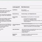 Lebenslauf Vorlage Berufserfahrung Erstaunlich 9 Unternehmen Vorstellen Vorlage Sampletemplatex1234