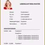 Lebenslauf Vorlage Berufserfahrung Genial 17 Lebenslauf Berufserfahrung Vorlage