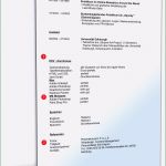 Lebenslauf Vorlage Berufserfahrung Genial Lebenslauf Hochschulabsolvent Berufserfahrung