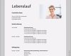 Lebenslauf Vorlage Berufserfahrung Großartig 15 Beispiel Lebenslauf Mit Berufserfahrung