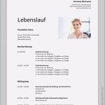 Lebenslauf Vorlage Berufserfahrung Großartig 15 Beispiel Lebenslauf Mit Berufserfahrung