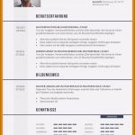 Lebenslauf Vorlage Berufserfahrung Gut 17 Lebenslauf Berufserfahrung Vorlage
