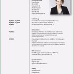 Lebenslauf Vorlage Berufserfahrung Gut Praktisch 16 Lebenslauf Berufserfahrung Muster