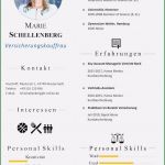 Lebenslauf Vorlage Berufserfahrung Neu Moderne Lebenslaufsvorlage &quot;attention Express&quot; Als