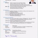 Lebenslauf Vorlage Berufserfahrung Süß 15 Lebenslauf Mit Berufserfahrung