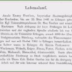Lebenslauf Vorlage Für Einbürgerung Cool Handgeschriebener Lebenslauf — the Fice