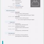 Lebenslauf Vorlage Für Einbürgerung Einzigartig 14 Platzierung Tabellarischer Lebenslauf Für Einbürgerung
