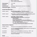 Lebenslauf Vorlage Für Einbürgerung Erstaunlich 20 Lebenslauf Muster Für Einbürgerung