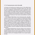 Lebenslauf Vorlage Für Einbürgerung Schön 20 Handgeschriebener Lebenslauf Für Einbürgerung