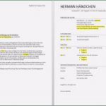 Lebenslauf Vorlage Für Eine Ausbildung Beste Ausbildungsplatz Bewerbung Lebenslauf Beispiel