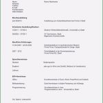 Lebenslauf Vorlage Für Eine Ausbildung Gut Lebenslauf Beispiele Für Perfekte Bewerbung