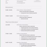 Lebenslauf Vorlage Schüler Word Elegant Schuler Lebenslauf Muster Beispiel Vorlage Vorstellung