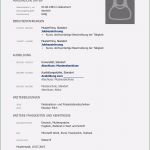 Lebenslauf Vorlage Schüler Word Gut Lebenslauf Muster 38 Kostenlose Muster Als Download