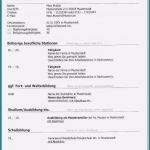 Lebenslauf Vorlage Schüler Word Wunderbar Schuler Lebenslauf Muster Beispiel Vorlage Vorstellung