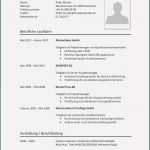 Lebenslauf Vorlage Word Kostenlos 2018 Angenehm 13 Realistisch Vorlage Lebenslauf Kostenlos Bilder