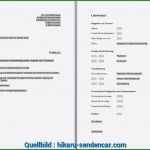 Lebenslauf Vorlage Word Kostenlos 2018 Bewundernswert Großartig Beste Lebenslauf Vorlage 2018 Word Kostenlos