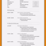 Lebenslauf Vorlage Word Kostenlos 2018 Erstaunlich 16 Lebenslauf Vorlage 2016 Kostenlos