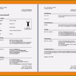 Lebenslauf Vorlage Word Kostenlos 2018 Inspiration 7 Lebenslauf Word Vorlage Kostenlos