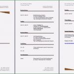 Lebenslauf Vorlage Word Kostenlos 2018 Luxus 17 Lebenslauf Vorlage Kostenlos Word