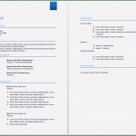 Lebenslauf Vorlage Word Kostenlos 2018 Wunderbar Lebenslaufvorlage 2018 2019 Meinebewerbung