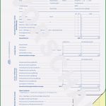 Lohnabrechnung Vorlage Word Großartig Lohn Gehaltsabrechnung 1759