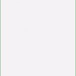 Lohnarbeit Nachweis Vorlage Pdf Angenehm 10 Nachweis Eigensicherheit Vorlage Excel