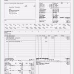 Lohnzettel Vorlage Pdf Gut 20 Lohnabrechnung Muster