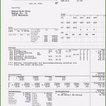 Lohnzettel Vorlage Pdf Gut Lohnzettel Vorlage Pdf 13 Phantasie Im Jahr 2019