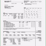 Lohnzettel Vorlage Pdf Neu 15 Muster Lohnabrechnung