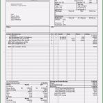 Lohnzettel Vorlage Pdf Schönste 13 Gehaltsnachweis Muster